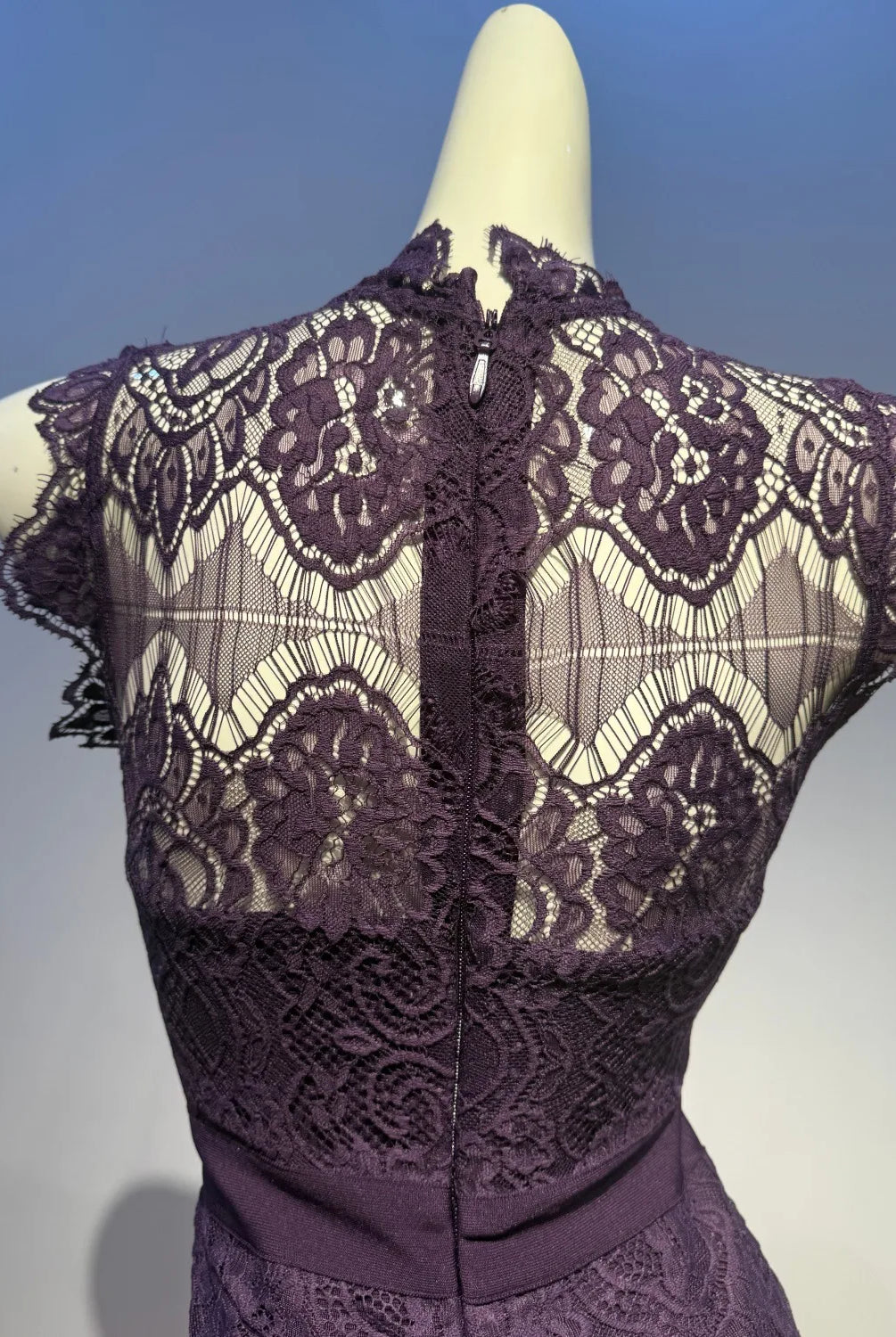 Trend4us Luxe Lace Illusion Bodycon High Waist Pencil Dress in purple back closer view