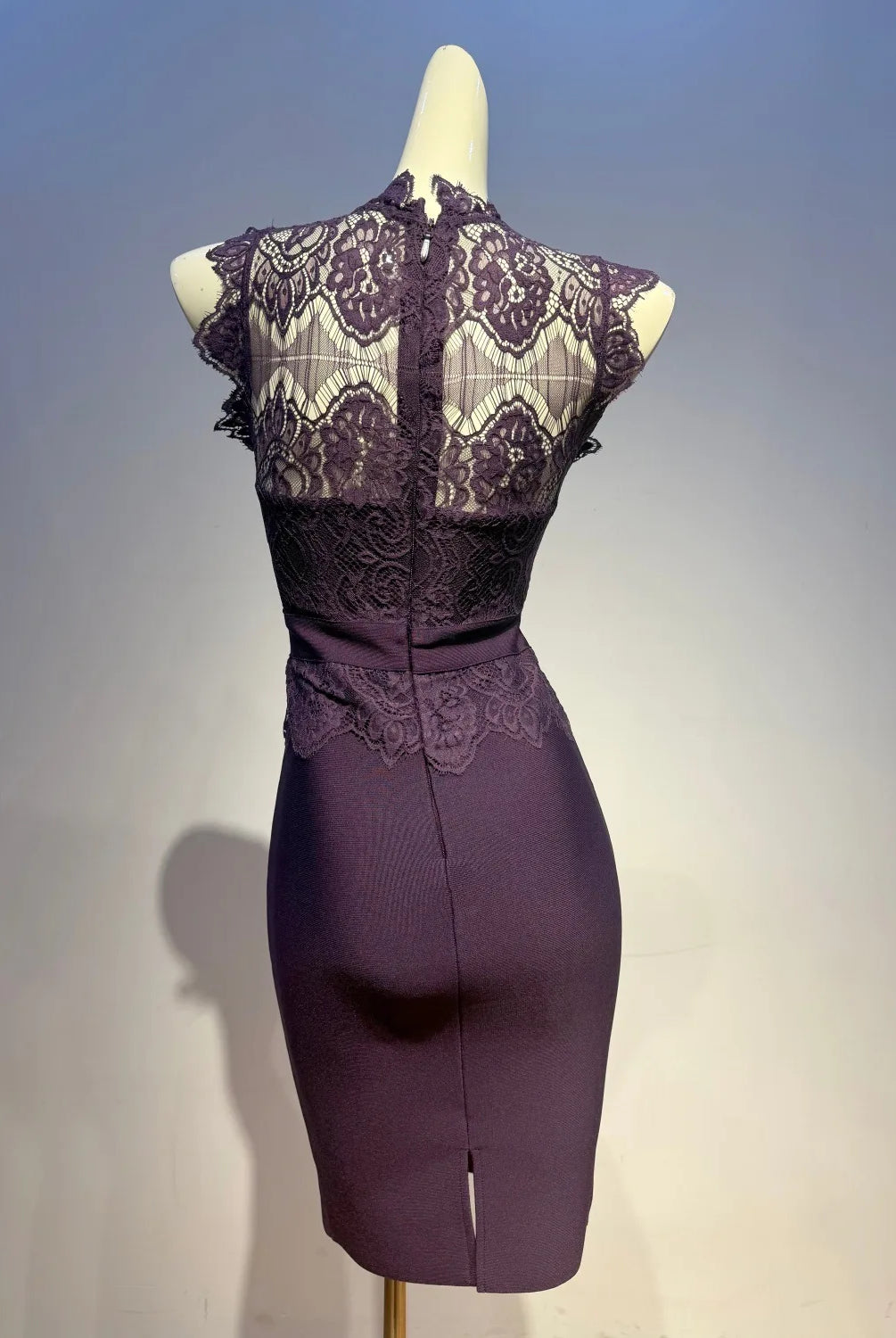 Trend4us Luxe Lace Illusion Bodycon High Waist Pencil Dress in purple back view