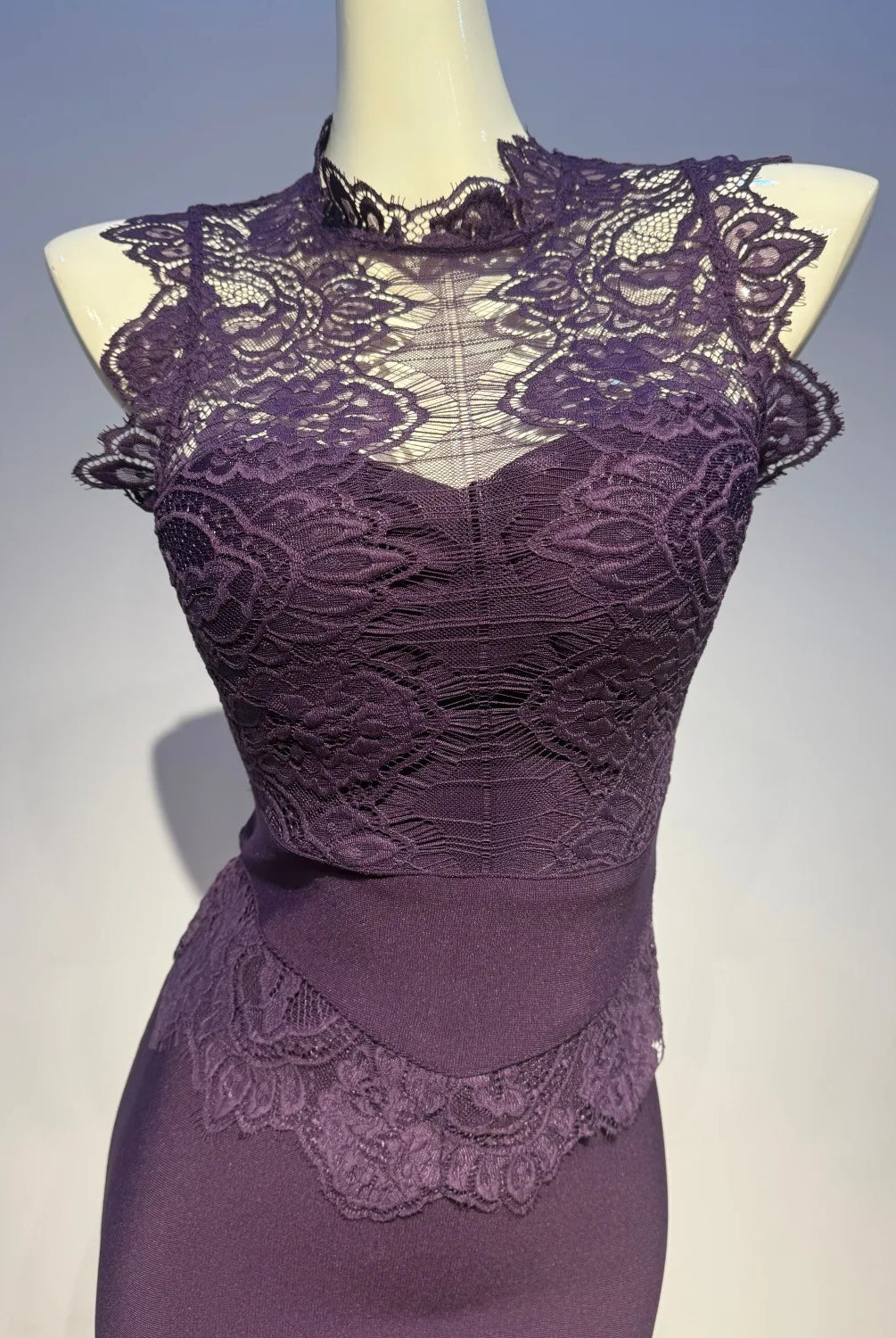Trend4us Luxe Lace Illusion Bodycon High Waist Pencil Dress in purple closer view