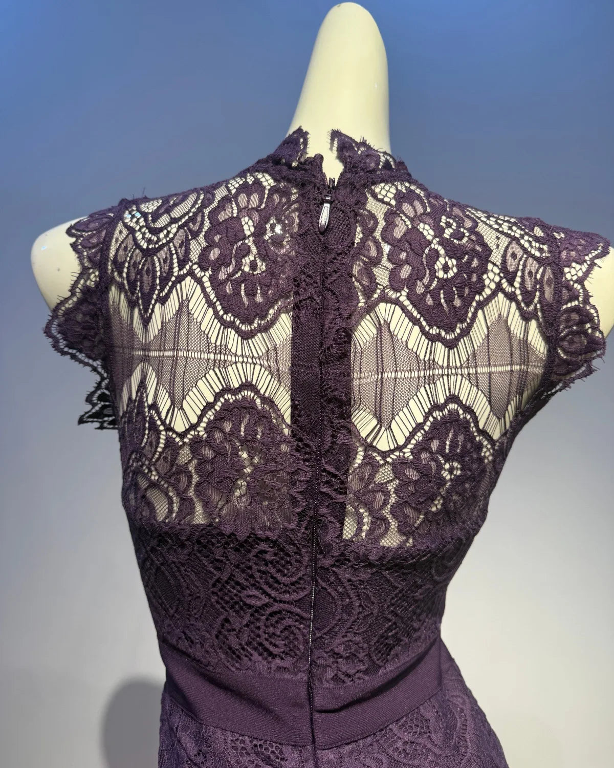 Trend4us Luxe Lace Illusion Bodycon High Waist Pencil Dress in purple back closer view