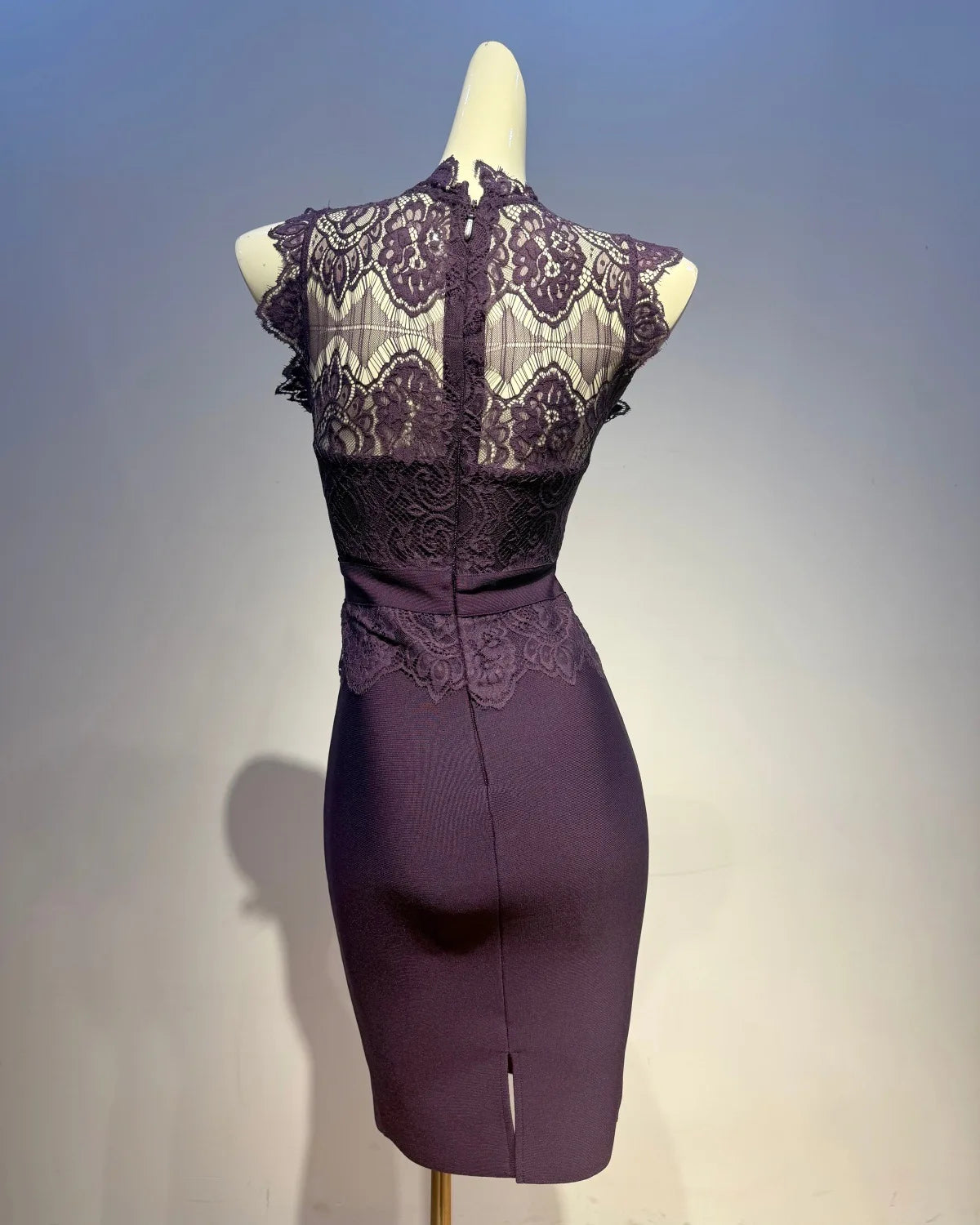 Trend4us Luxe Lace Illusion Bodycon High Waist Pencil Dress in purple back view