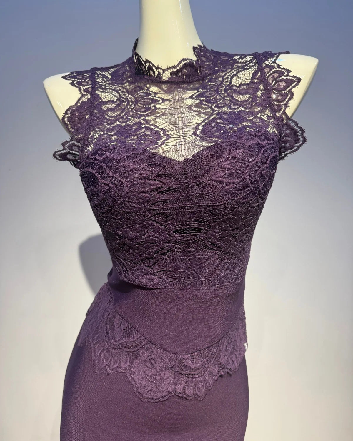Trend4us Luxe Lace Illusion Bodycon High Waist Pencil Dress in purple closer view